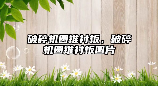 破碎機(jī)圓錐襯板，破碎機(jī)圓錐襯板圖片