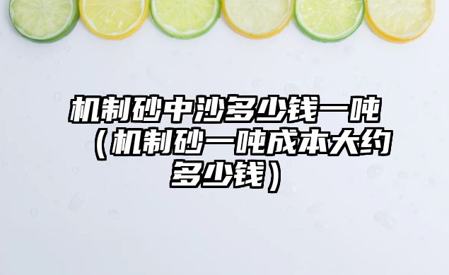 機(jī)制砂中沙多少錢一噸（機(jī)制砂一噸成本大約多少錢）